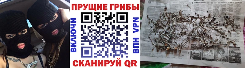 Галлюциногенные грибы MAGIC MUSHROOMS  как найти закладки  Игра 